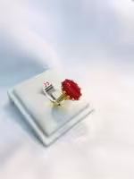 AN03716 - Imagem 3