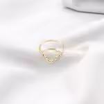 AN02580